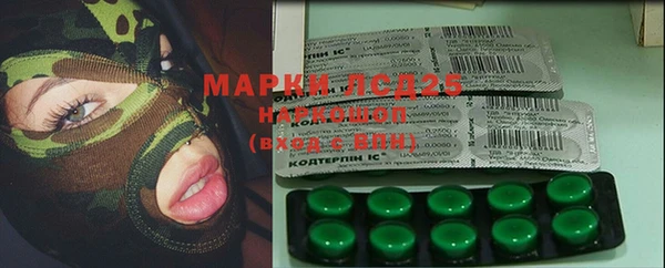 ПСИЛОЦИБИНОВЫЕ ГРИБЫ Белокуриха