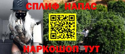 спиды Абинск