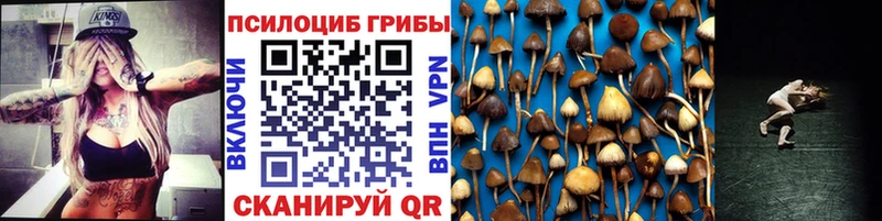 Псилоцибиновые грибы мухоморы  Баксан 