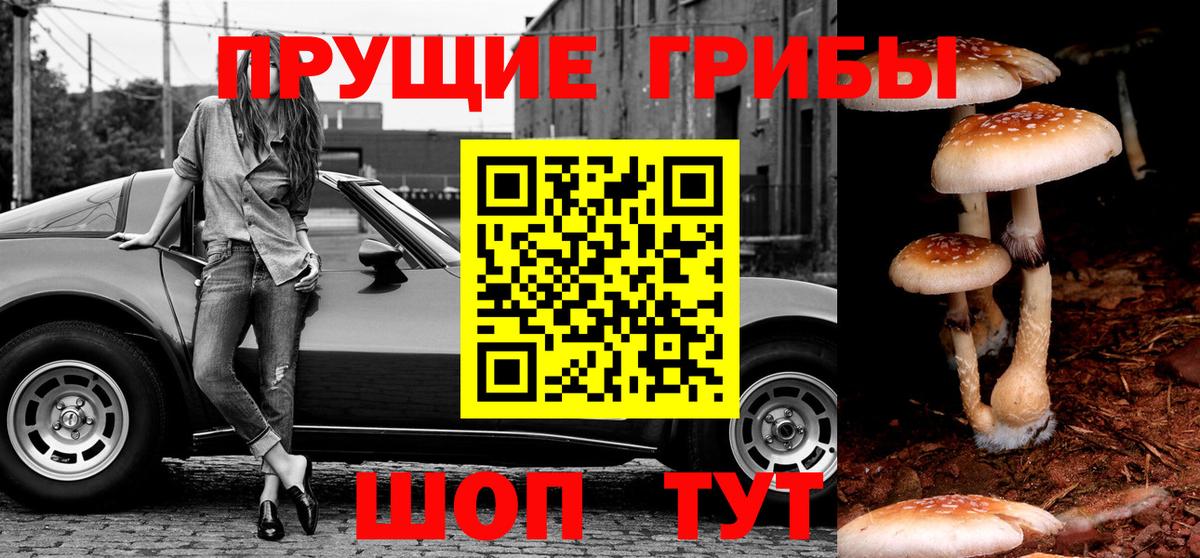 Галлюциногенные грибы ЛСД  сколько стоит  Баксан  Вход с VPN 
