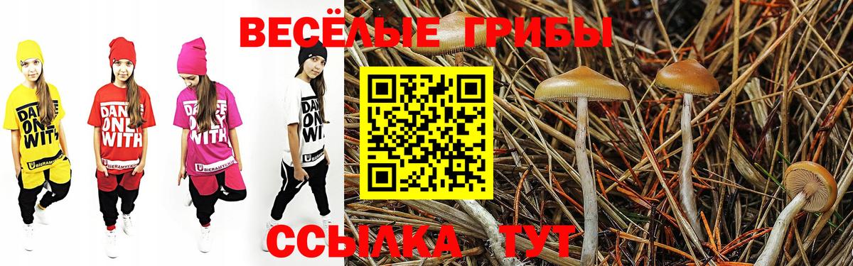 Псилоцибиновые грибы ЛСД Баксан