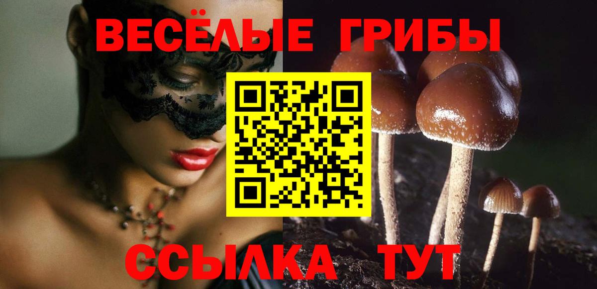 Псилоцибиновые грибы мухоморы  Баксан  Псилоцибиновые грибы прущие грибы 